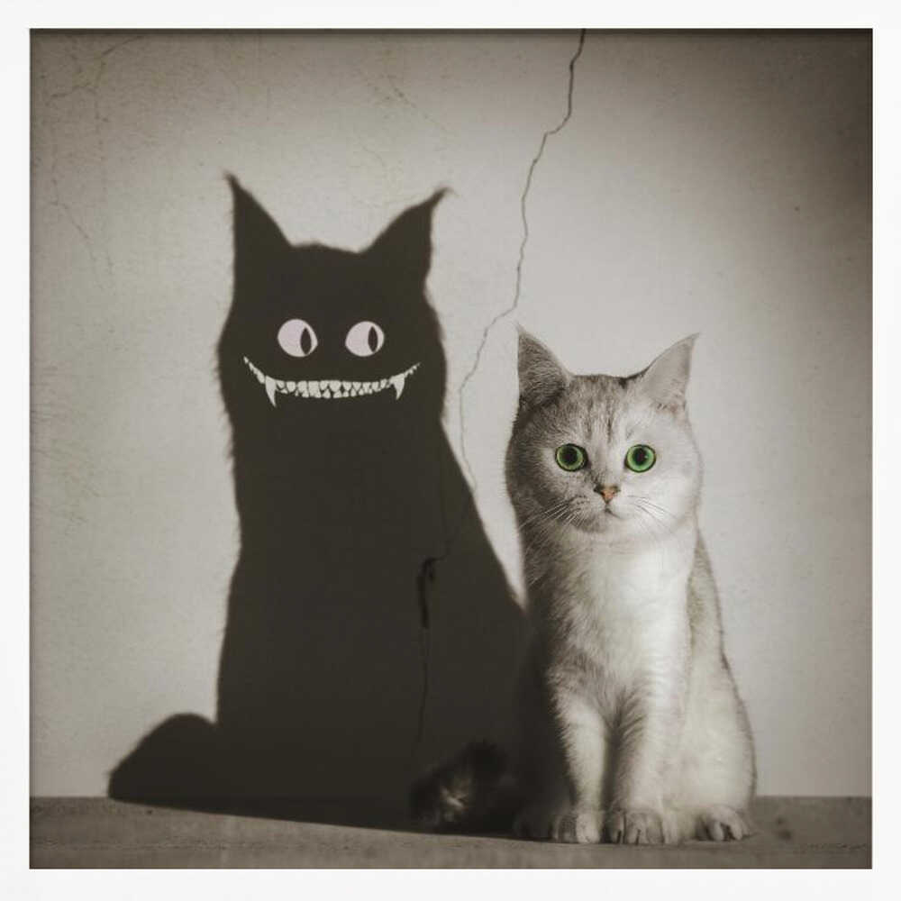 The Shadow Smiles to You - Poster / Art Print