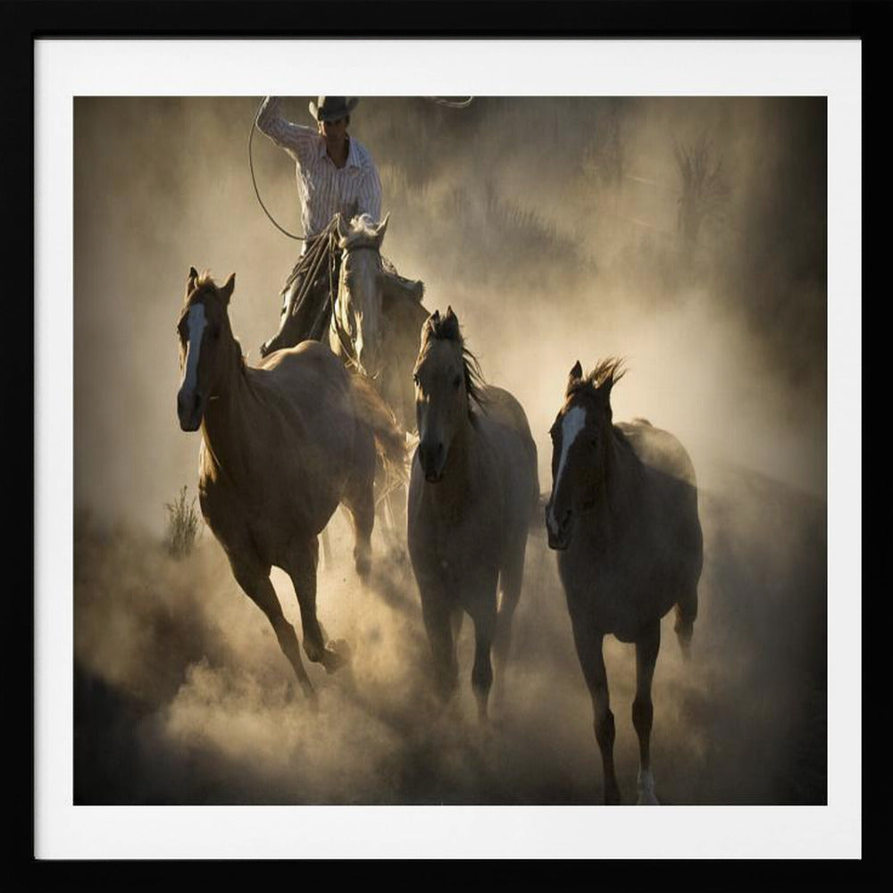 Roundup - Poster / Art Print