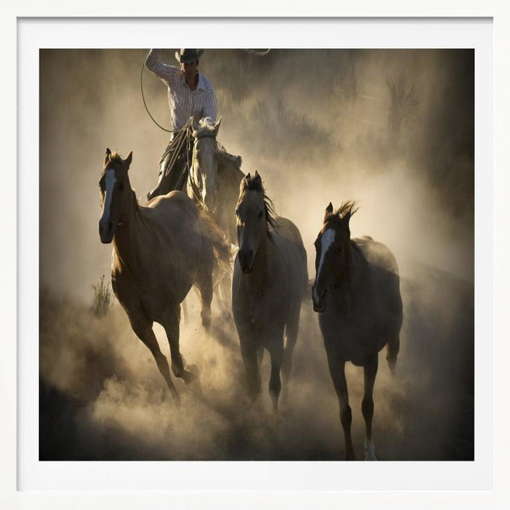 Roundup - Poster / Art Print