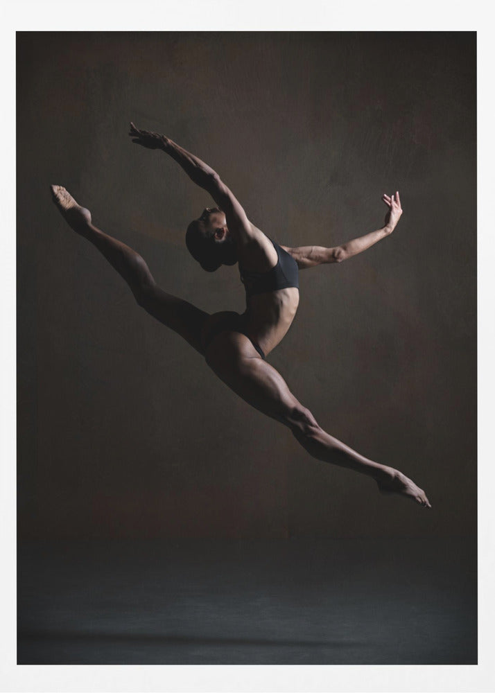 Elegance in the Dark - Poster / Art Print