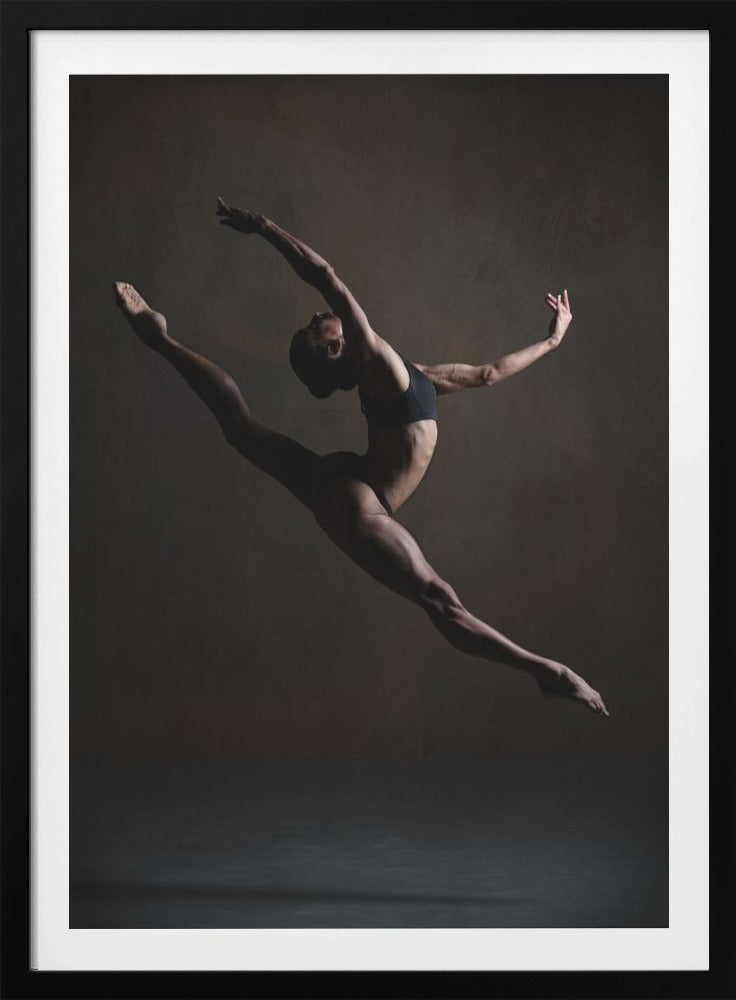 Elegance in the Dark - Poster / Art Print
