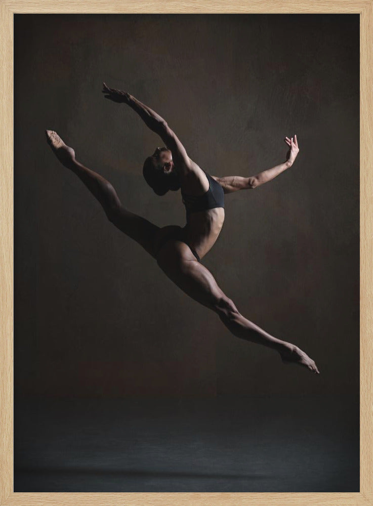 Elegance in the Dark - Poster / Art Print