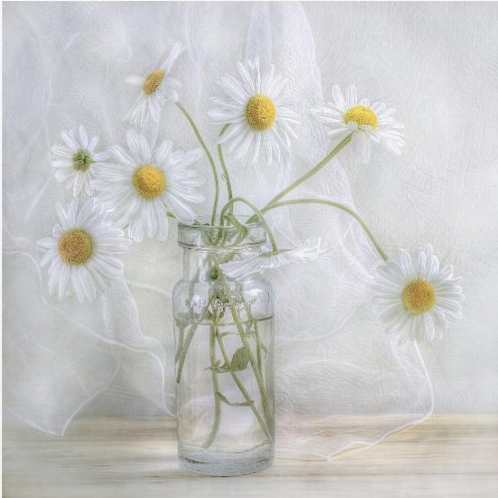 Daisies - Poster / Art Print