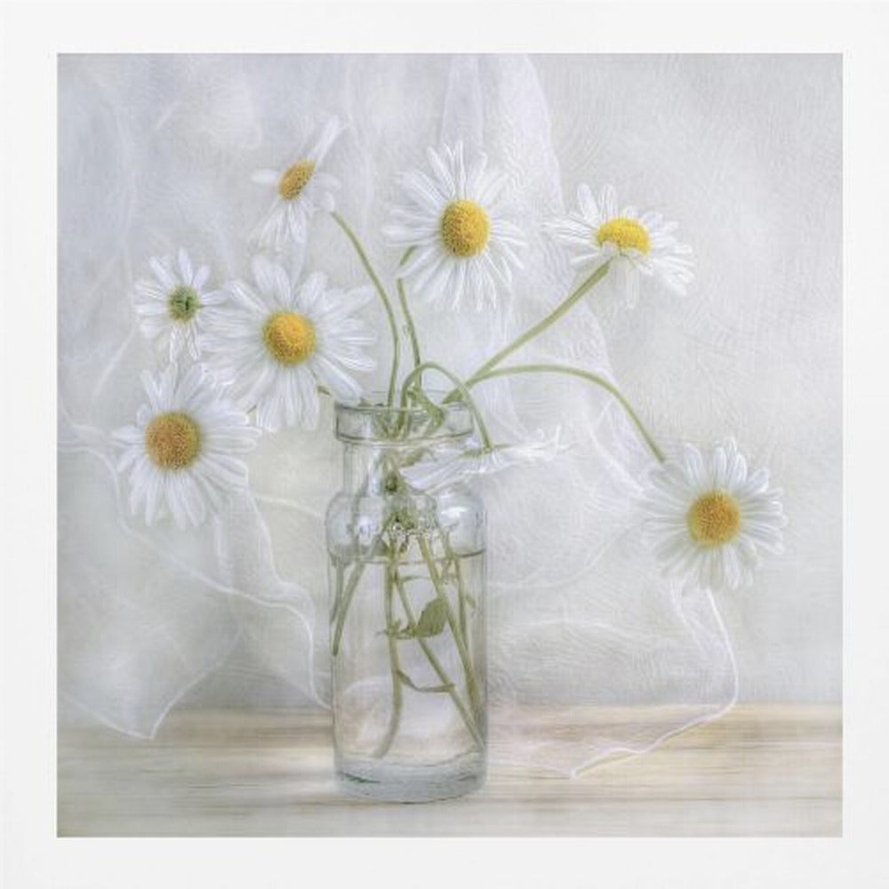 Daisies - Poster / Art Print