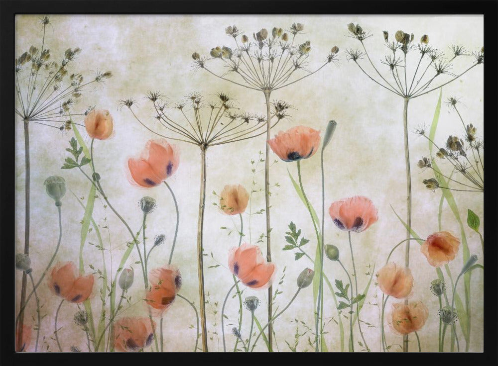 Poppy Meadow - Poster / Art Print