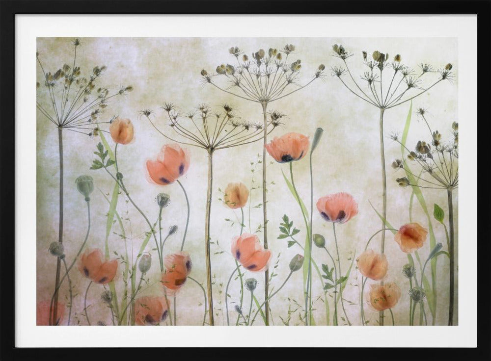 Poppy Meadow - Poster / Art Print
