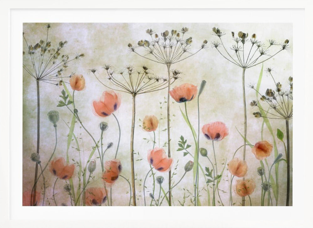 Poppy Meadow - Poster / Art Print