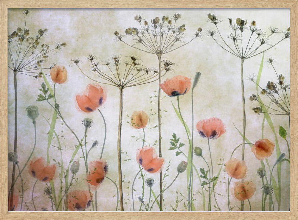 Poppy Meadow - Poster / Art Print