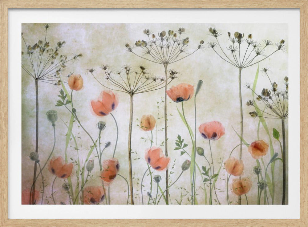 Poppy Meadow - Poster / Art Print