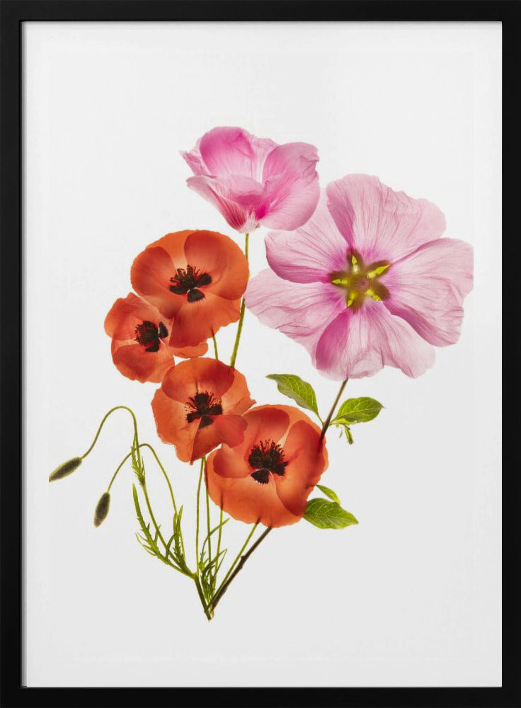 Flower composition III - Poster / Art Print