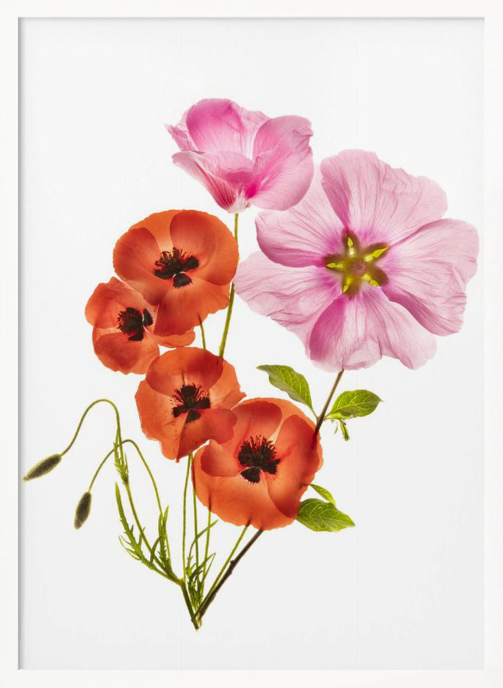 Flower composition III - Poster / Art Print