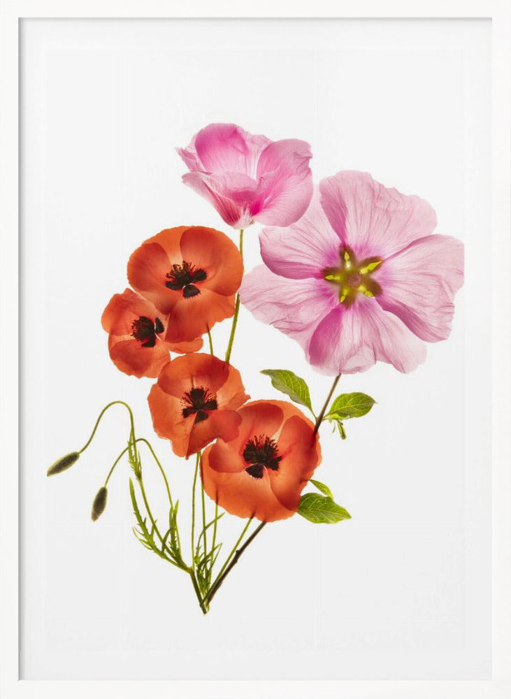 Flower composition III - Poster / Art Print
