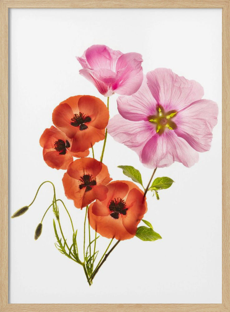 Flower composition III - Poster / Art Print