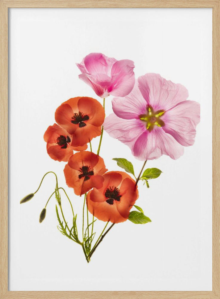Flower composition III - Poster / Art Print