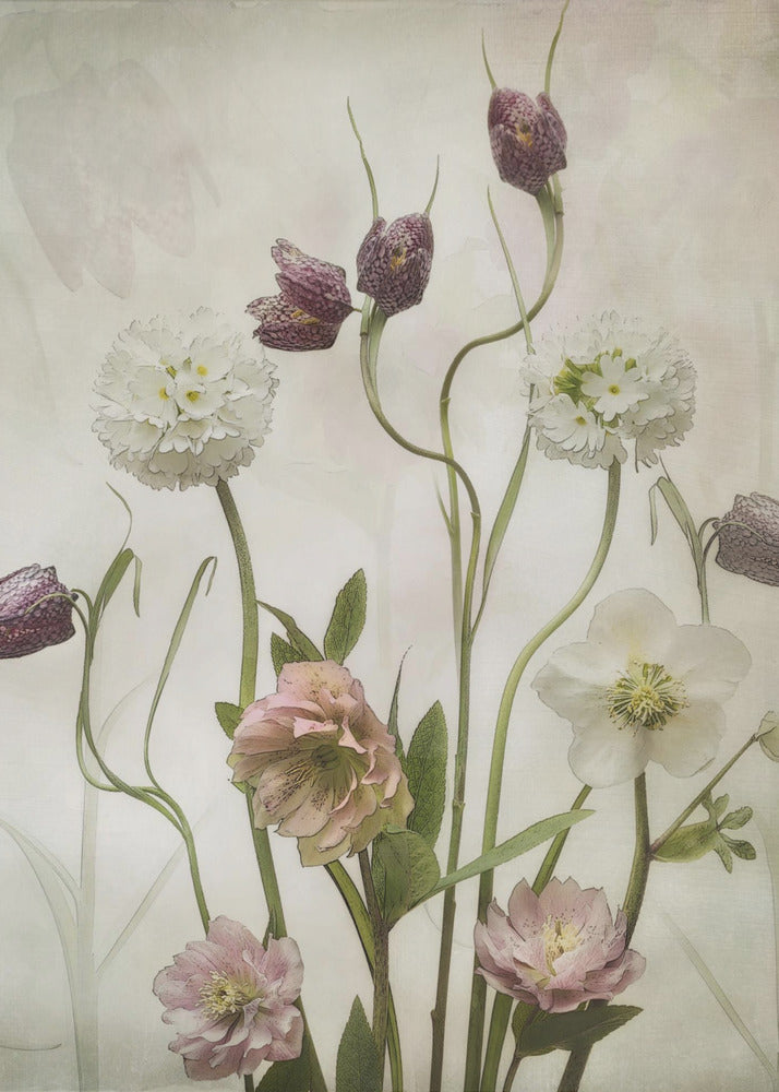 Spring Garden - Poster / Art Print