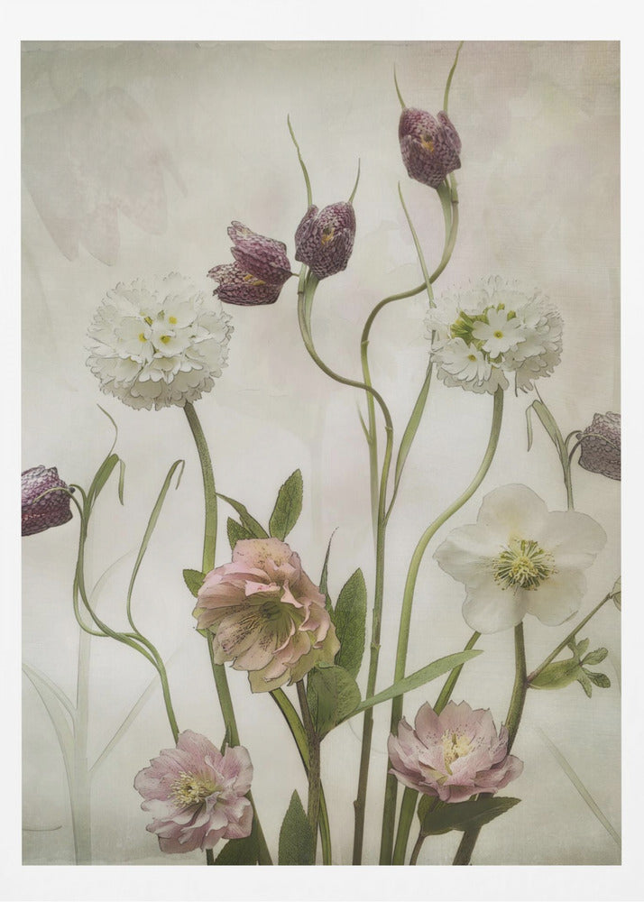 Spring Garden - Poster / Art Print