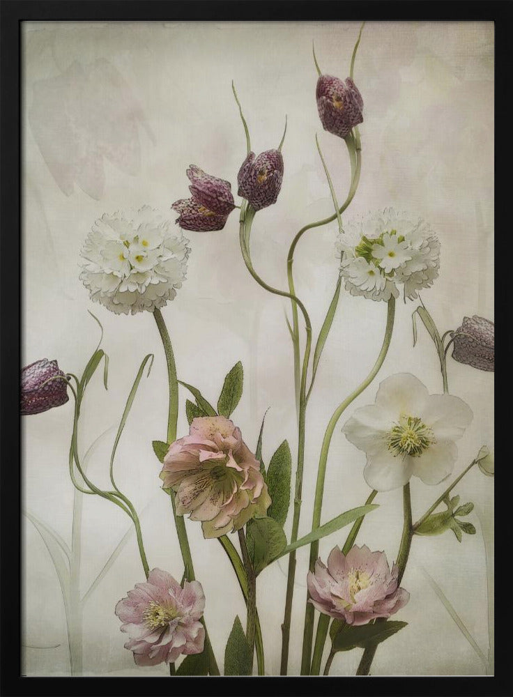 Spring Garden - Poster / Art Print