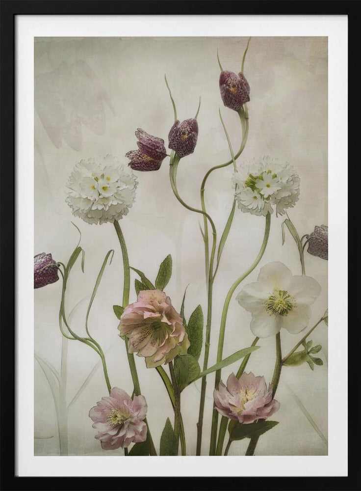 Spring Garden - Poster / Art Print