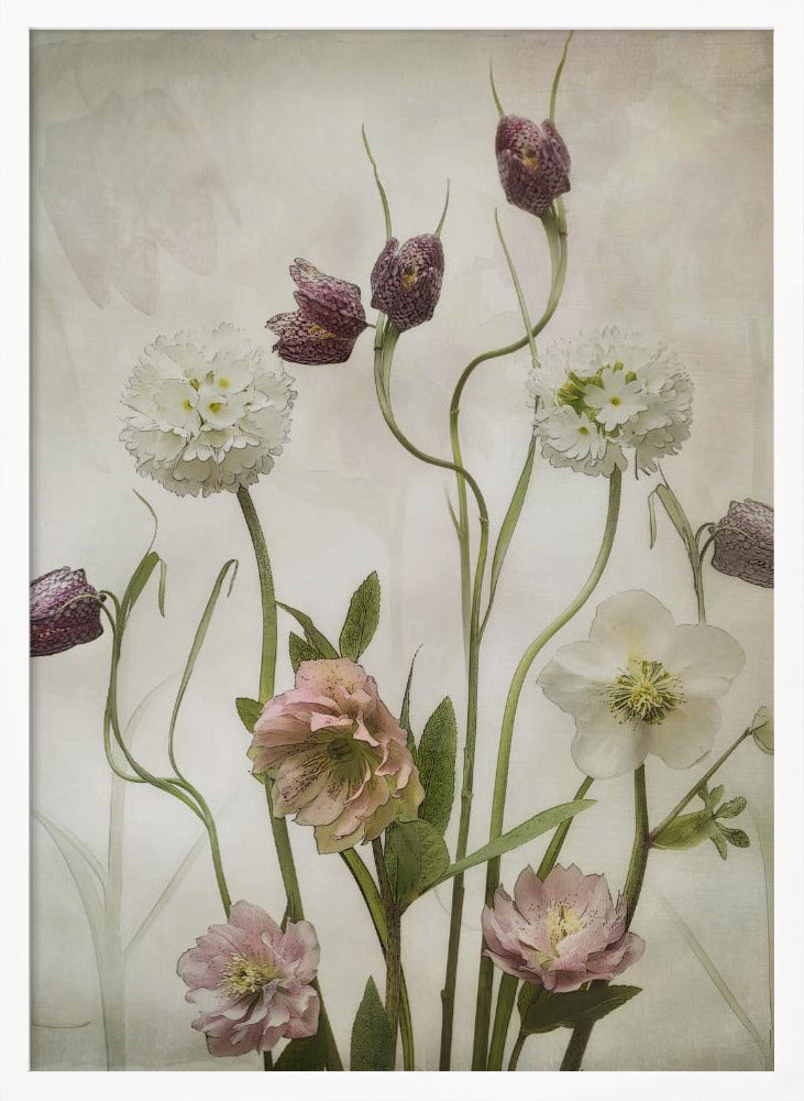 Spring Garden - Poster / Art Print
