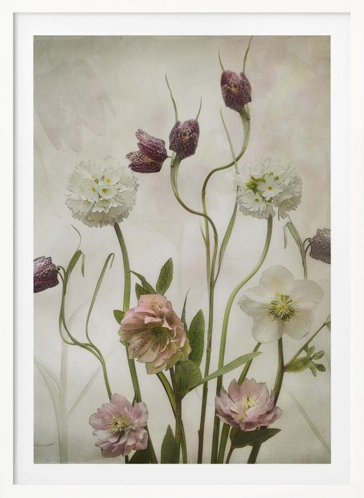 Spring Garden - Poster / Art Print