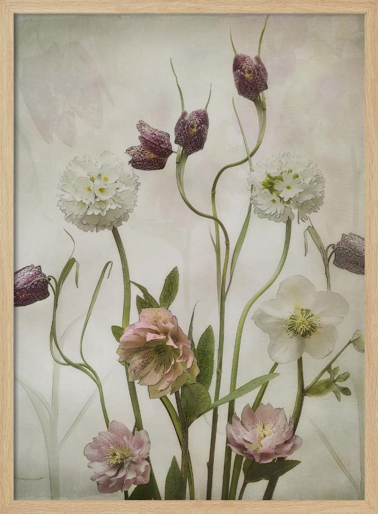 Spring Garden - Poster / Art Print