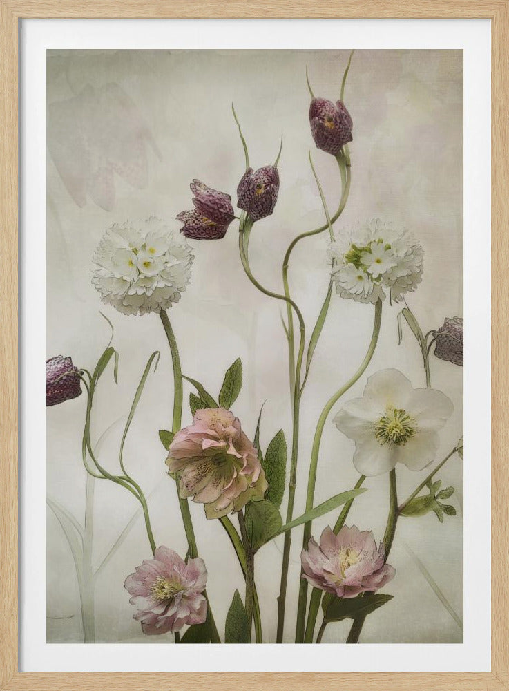 Spring Garden - Poster / Art Print