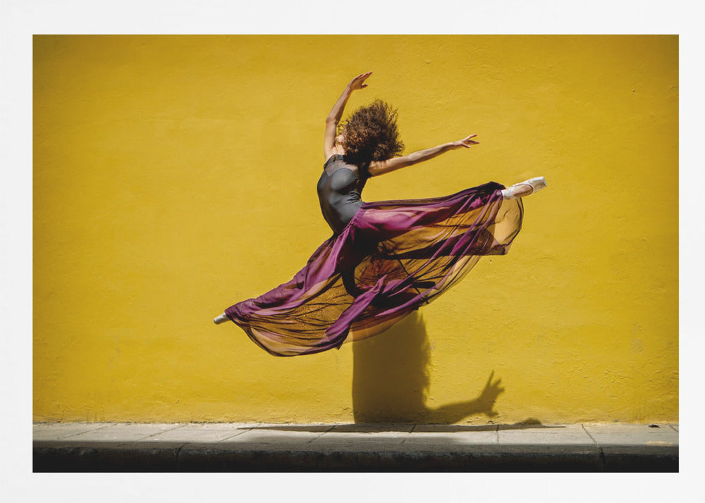 Ballet dancer jumping - Poster / Art Print