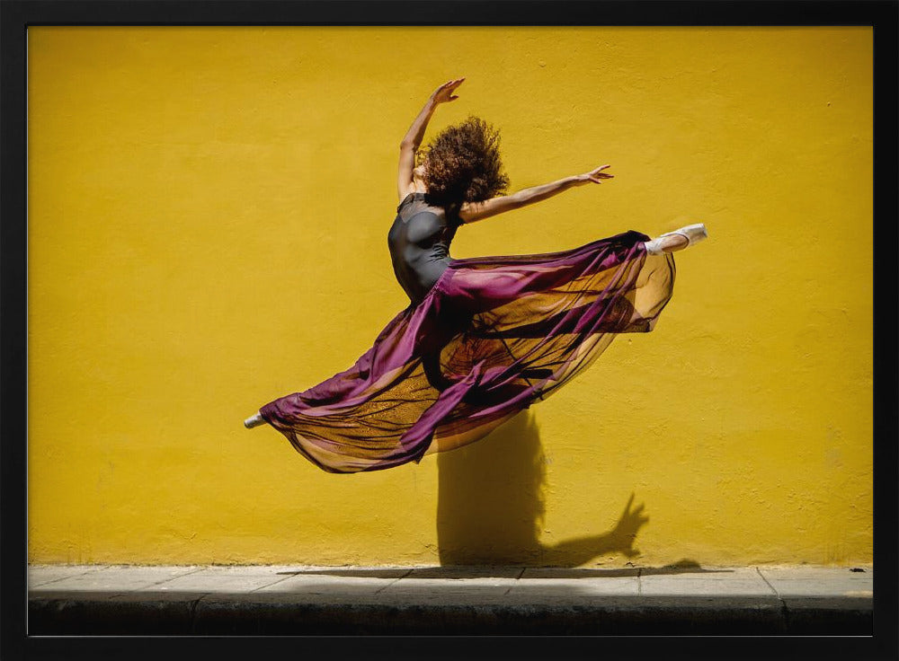 Ballet dancer jumping - Poster / Art Print