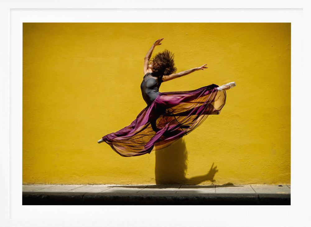 Ballet dancer jumping - Poster / Art Print