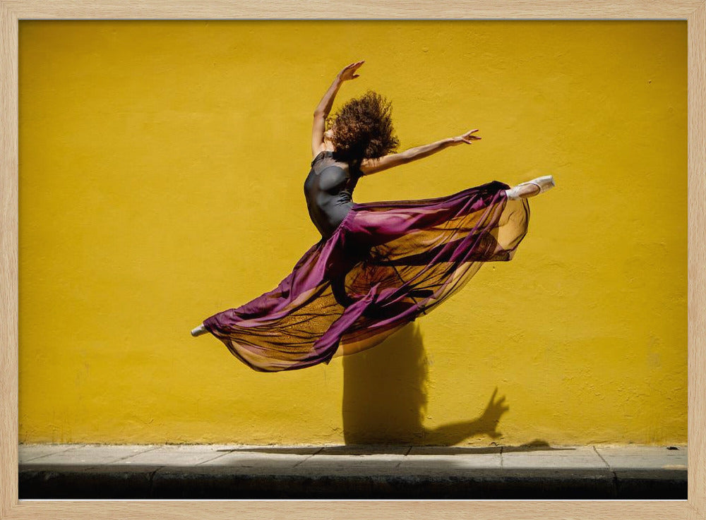 Ballet dancer jumping - Poster / Art Print