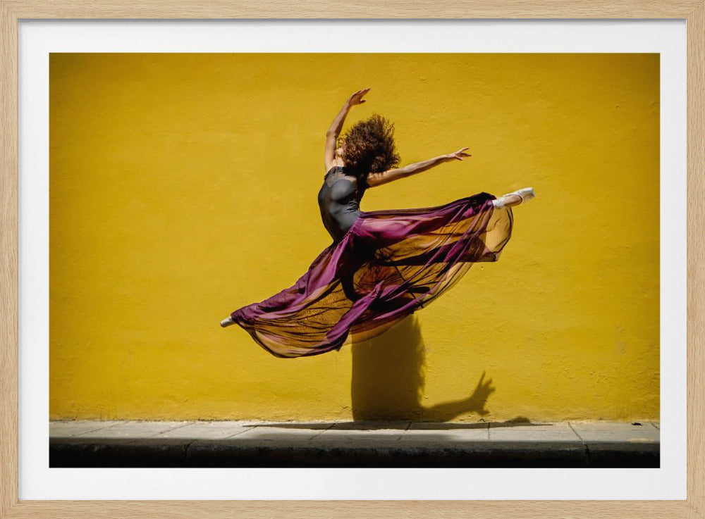 Ballet dancer jumping - Poster / Art Print