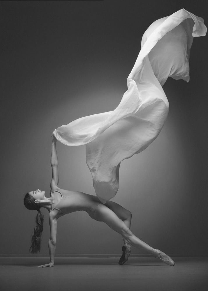 Art Of Movement Series - Poster / Art Print