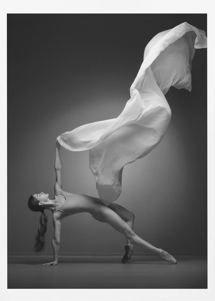 Art Of Movement Series - Poster / Art Print