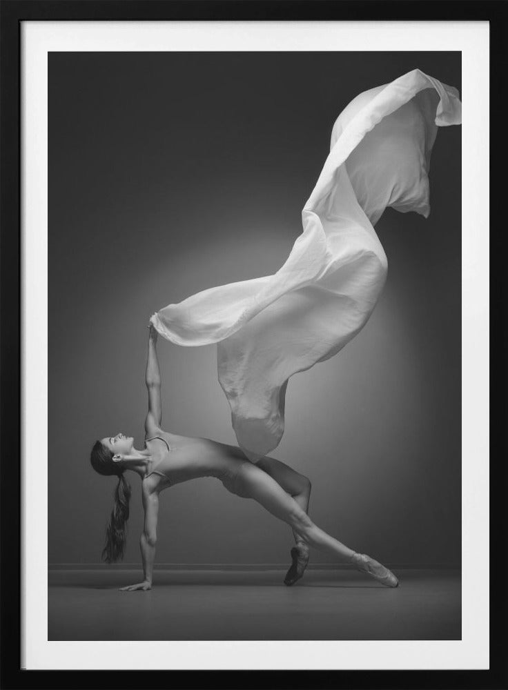 Art Of Movement Series - Poster / Art Print