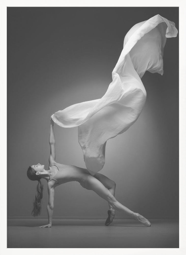 Art Of Movement Series - Poster / Art Print