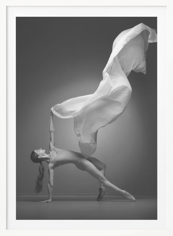 Art Of Movement Series - Poster / Art Print
