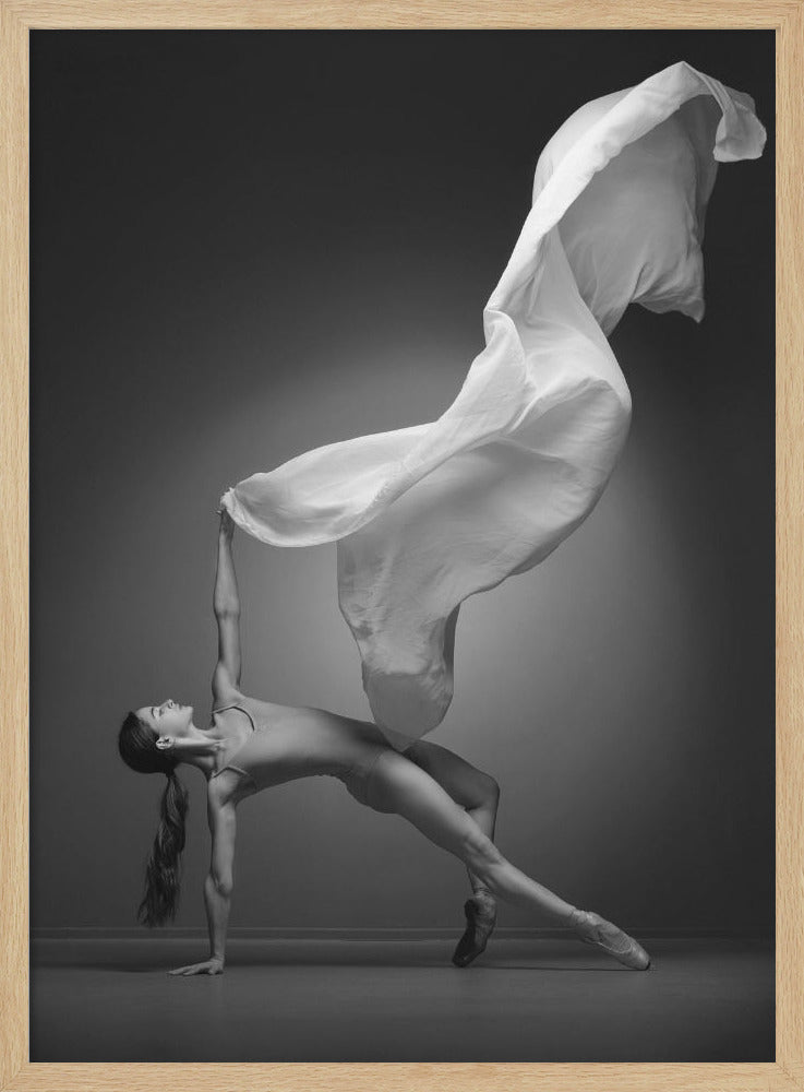 Art Of Movement Series - Poster / Art Print