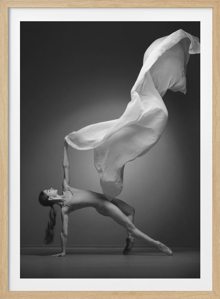 Art Of Movement Series - Poster / Art Print