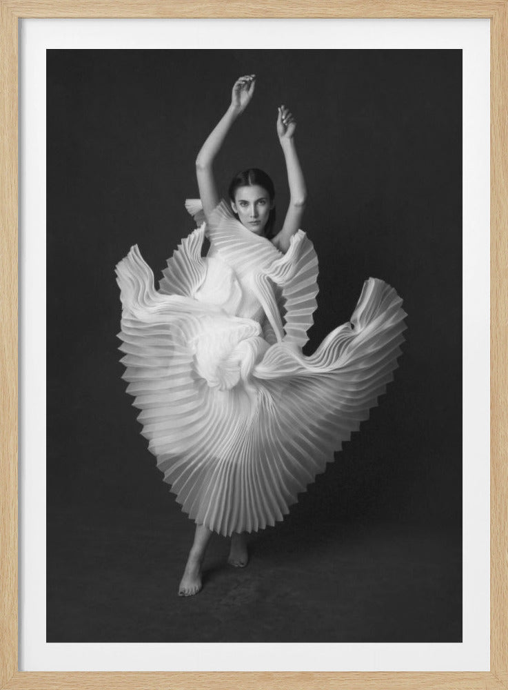 Swan Lake - Poster / Art Print