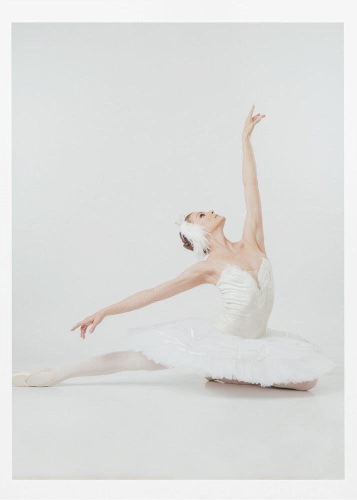 Anastasia Lomachenkova - Poster / Art Print