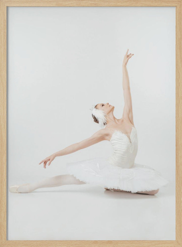 Anastasia Lomachenkova - Poster / Art Print