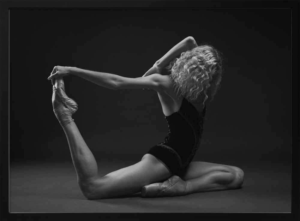 Art Of Movement Series - Poster / Art Print