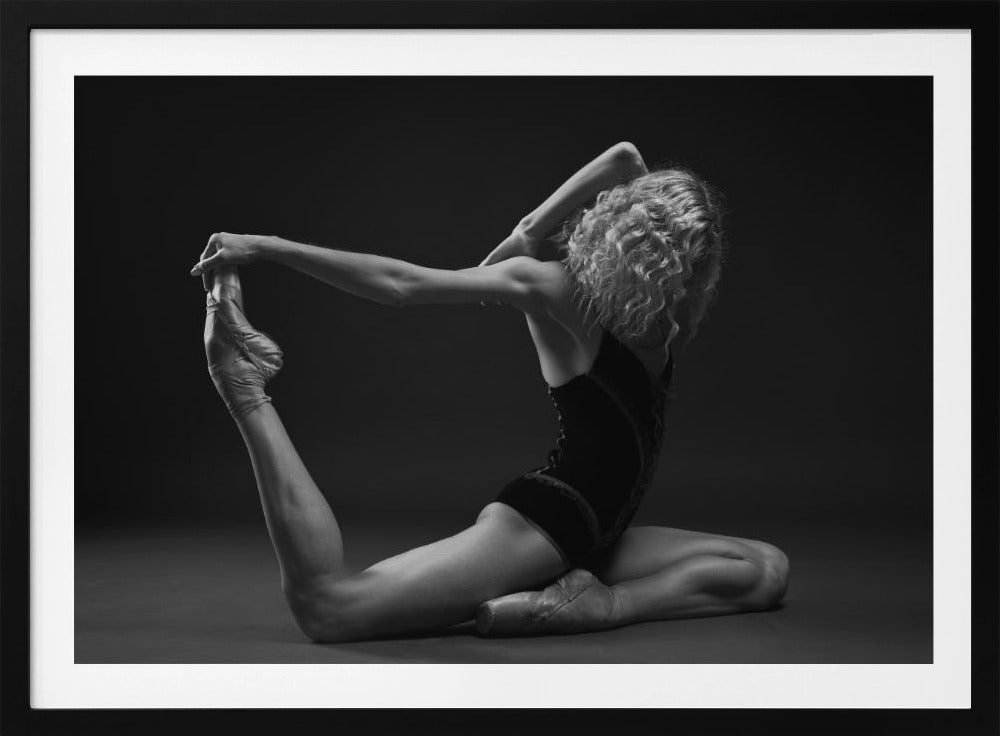 Art Of Movement Series - Poster / Art Print
