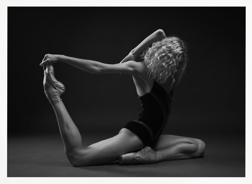 Art Of Movement Series - Poster / Art Print