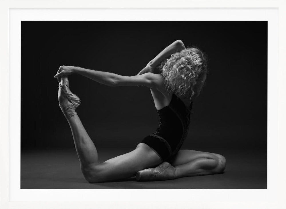Art Of Movement Series - Poster / Art Print
