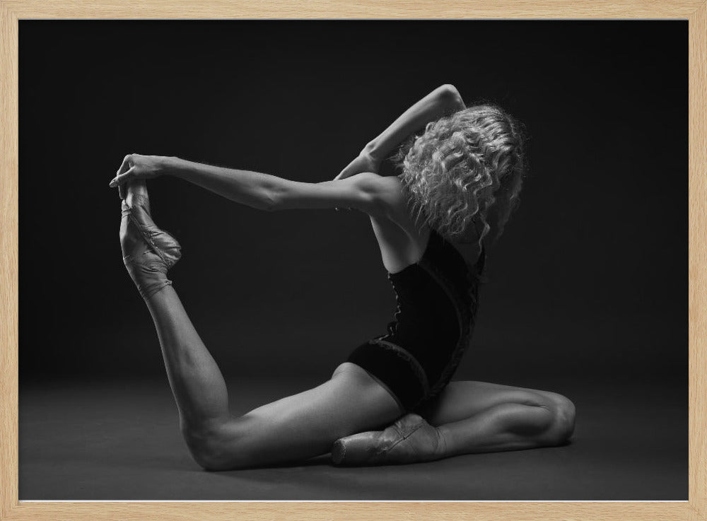 Art Of Movement Series - Poster / Art Print