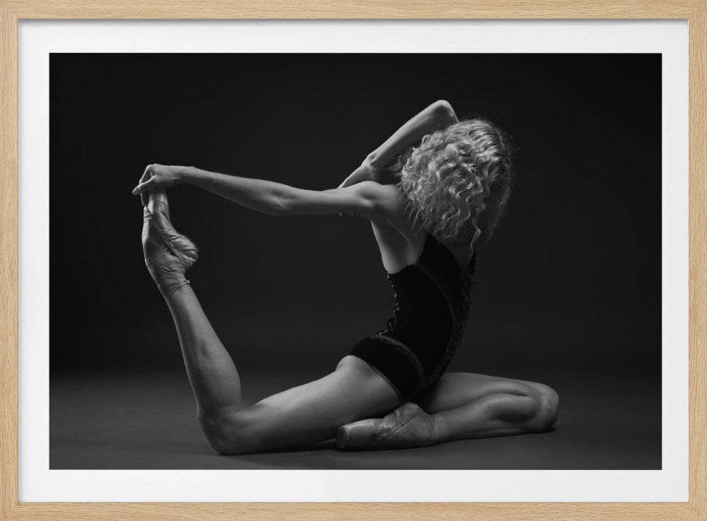 Art Of Movement Series - Poster / Art Print