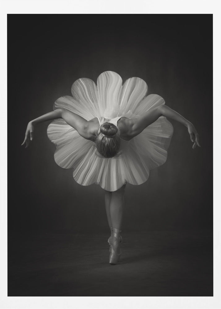 Floral Ballet - Poster / Art Print
