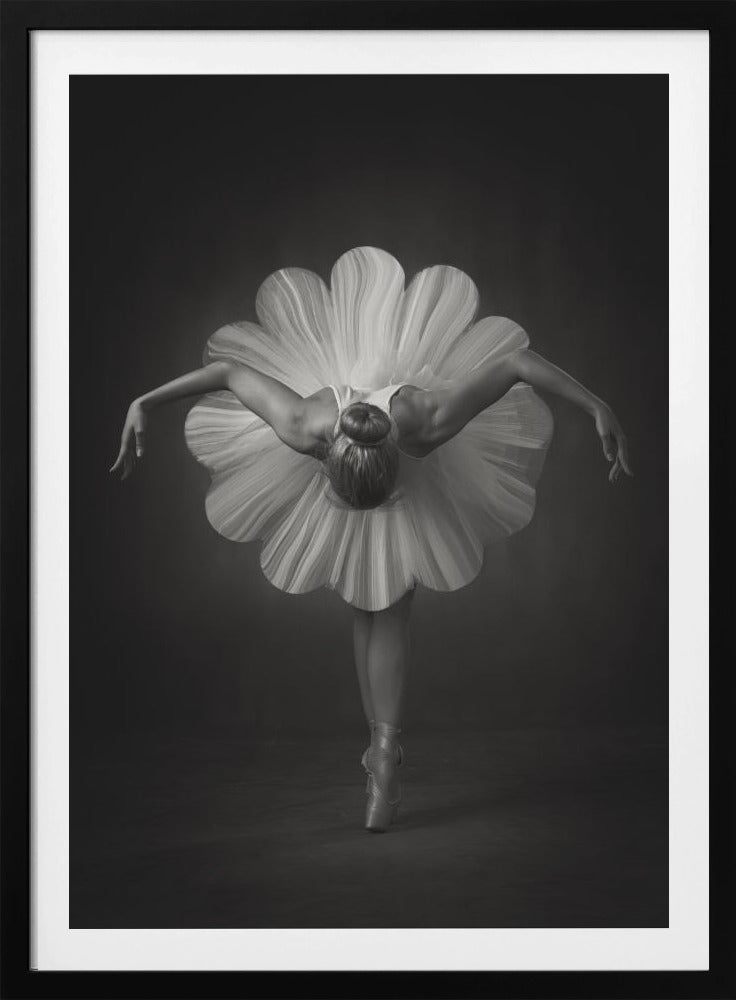 Floral Ballet - Poster / Art Print