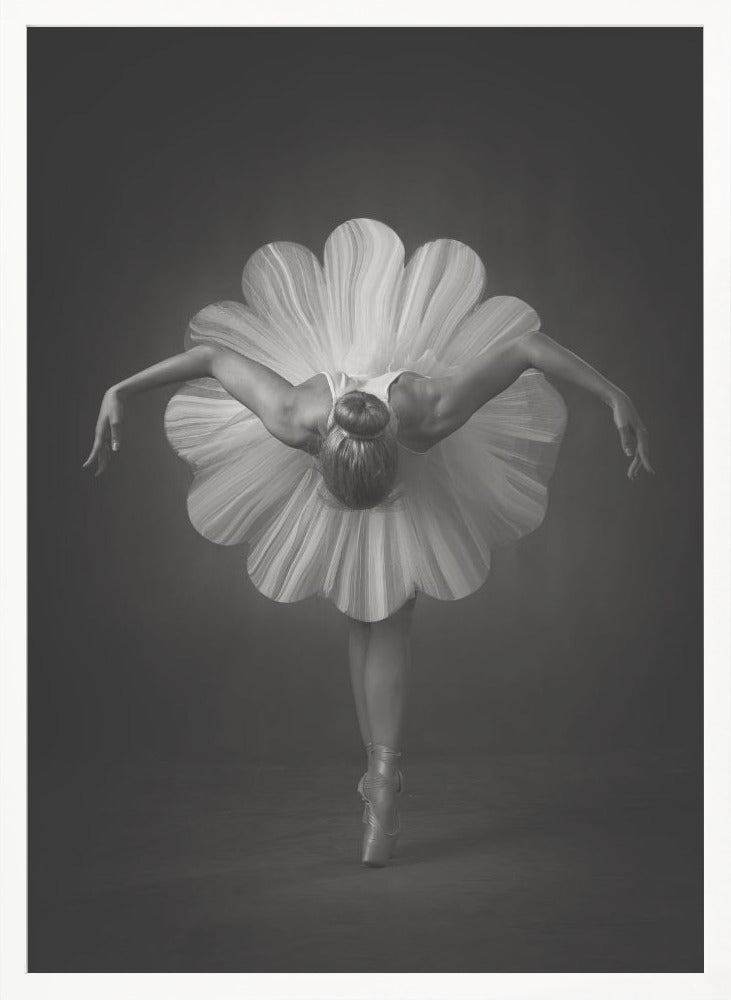 Floral Ballet - Poster / Art Print